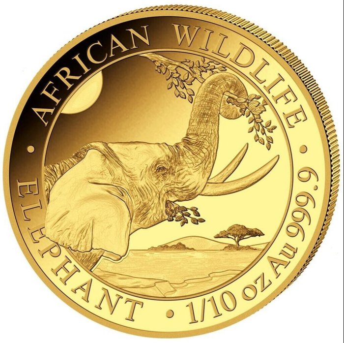 Somalie. 100 Shillings 2023 Elephant. Gold 1/10 oz (.999)