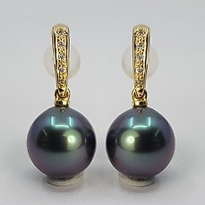 9x10mm Peacock Tahitian Pearl Drops – 0.08 ctt – 14 kt goud – Geel goud – Oorbellen