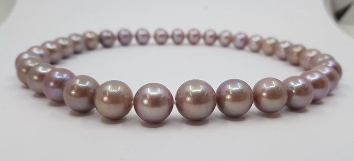 Preview of the first image of No reserve price - 12x14.5mm Edison Pearls - 14 kt. White gold - Necklace.