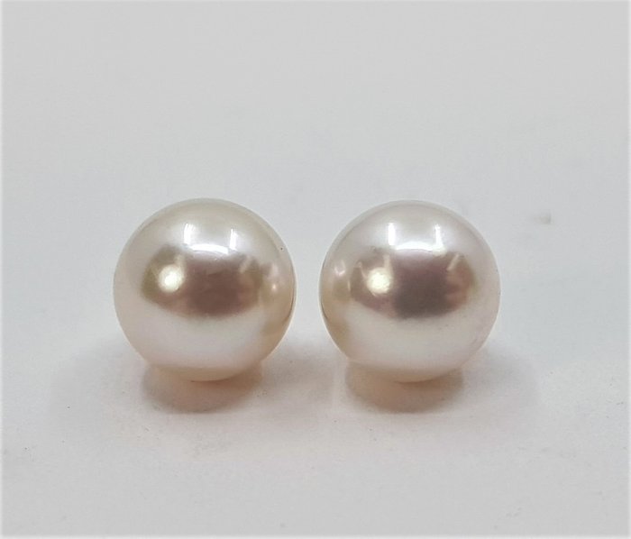沒有保留價 - 7x7.5mm Bright Round Akoya Pearls - 耳環 黃金