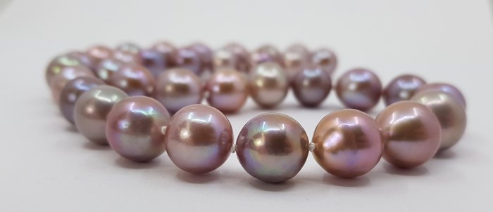 Preview of the first image of No Reserve Price - 11.5x14mm Edison Freshwater Pearls - 14 kt. White gold - Necklace.