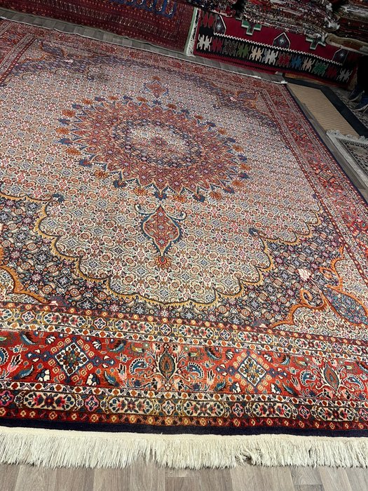 Moud - Carpete - 375 cm - 295 cm
