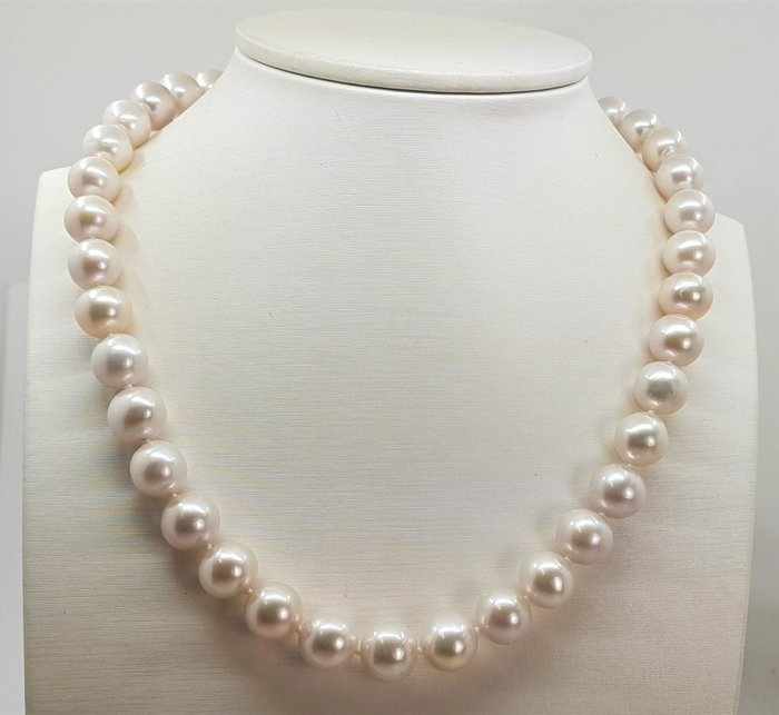Bez ceny minimalnej
 - Naszyjnik Okrągłe białe perły słodkowodne Edisona o wymiarach 9x11,5 mm - srebro 925 