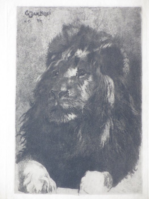 Gerard Jan Bos (1860-1943) - Rustende Leeuw