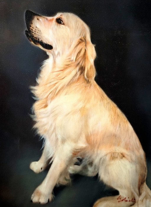 Preview of the first image of M. Solietin (XXI) - Hond - Golden Retriever.