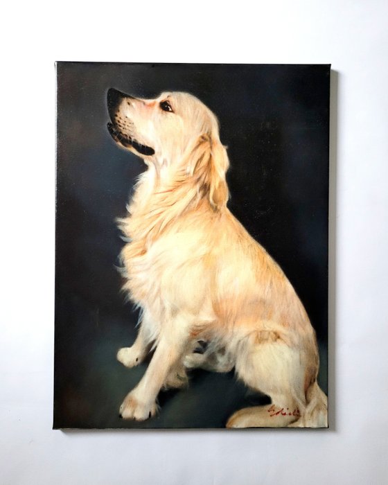Image 2 of M. Solietin (XXI) - Hond - Golden Retriever