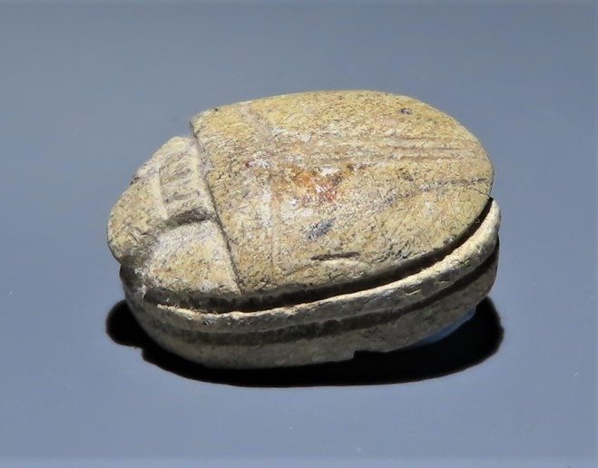 Antico Egitto Steatite scarabeo. "Collezione del patrimonio".