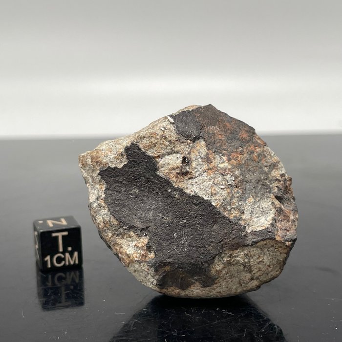 Viñales-meteoriitti Loppuleikkaus, jossa kiillotettu pinta, fuusioruppi, materiaalisuonet, rautasulkeumat - 47.5 g