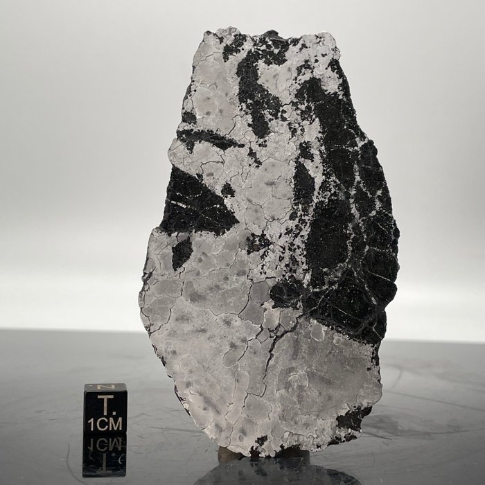 SILIKAT!!!! Himlens mark Plade, Silikat Jern Meteorit - 67 g
