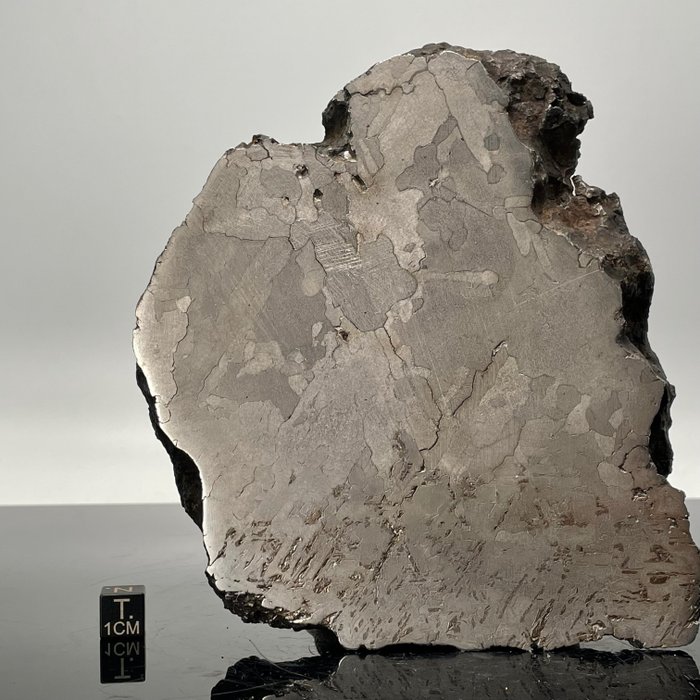 MORASKO Päätyleikkaus Rautameteoriitti, jossa on koheniittia ja troiliittia - 2.67 kg