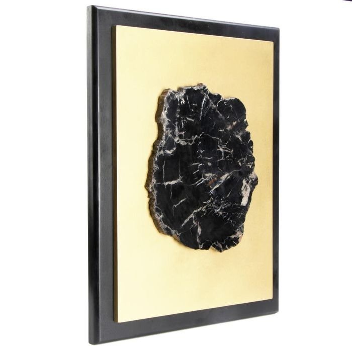Versteinerte schwarze Holzscheiben auf goldenem Holz - 2 Gemälde mit Installation von 2 Scheiben schwarzem Fossilholz - Araucaria sp. (Conifera) - 40×30×4.5 cm