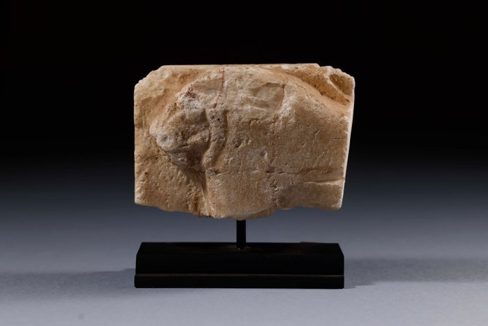Egiptul Antic Marmură, Relief înfățișând un leu. Fragment de relief de masă de înmormântare egipteană din marmură înfățișând un cap de leu - 10 cm