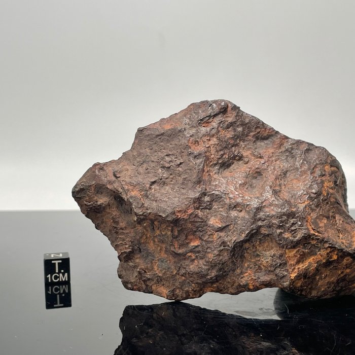 CHINGA, Nucleo di un asteroide ***SPECIAL, NESSUN PREZZO DI RISERVA*** meteorite metallico - 538 g