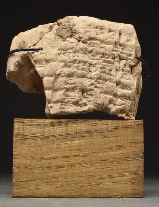 Mesopotamico Cuneiforme Tavoletta di argilla