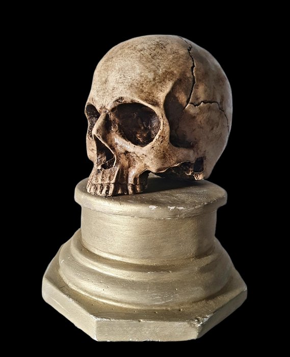 Scultura, Ancient Skull "Memento Mori" - Vanitas Vanitatis (2)