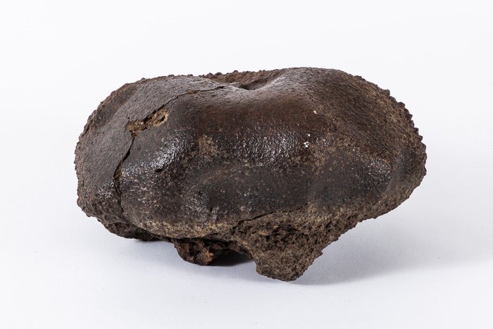 Meteorite condrite **XXL** 8,29K - 13×18×23 cm - 8.29 kg