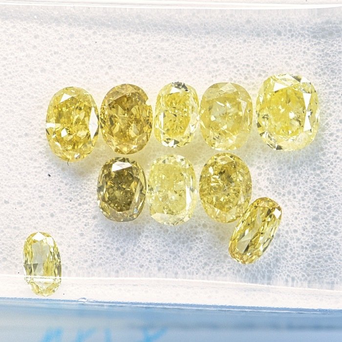 10 pcs Diamante - 1.69 ct - Cuscino - Natural Mix Fancy Yellow - VS1 - I2   **No Reserve Price**