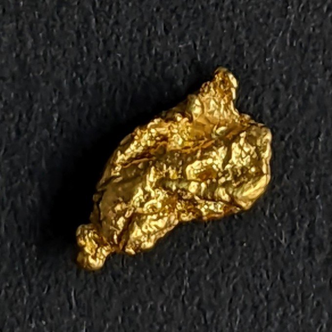 Oro Pepita d'oro naturale dell'Alaska - 0.496 g - (1)
