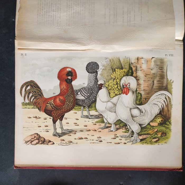 A. Nuyens / C. t' Felt - Handboek voor liefhebbers van kamer- en parkvogels - 1886