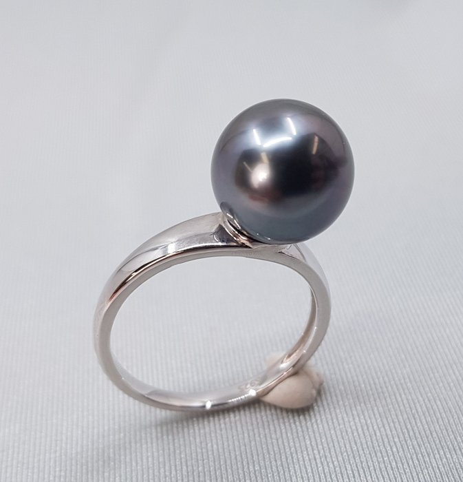 NO RESERVE PRICE - 11x12mm Round Peacock Tahitian Pearl - 925 Argento - Anello
