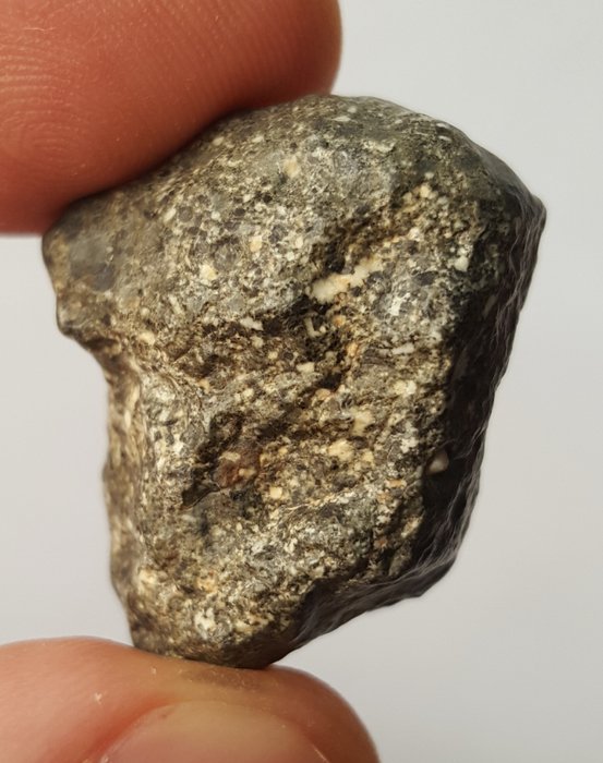 Meteorite NWA 14131. HED, Eucrite - 12.56 g - (1)