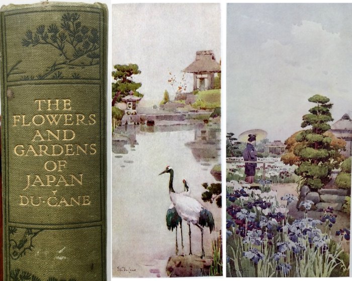 Florence Du Cane / Ella Du Cane (ill.) - The Flowers and Gardens of Japan - 1908