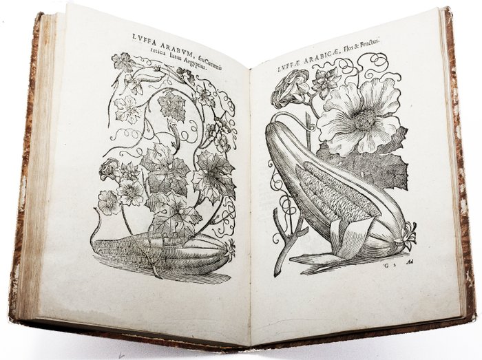 Prospero Alpino - De plantis Aegypti - 1640