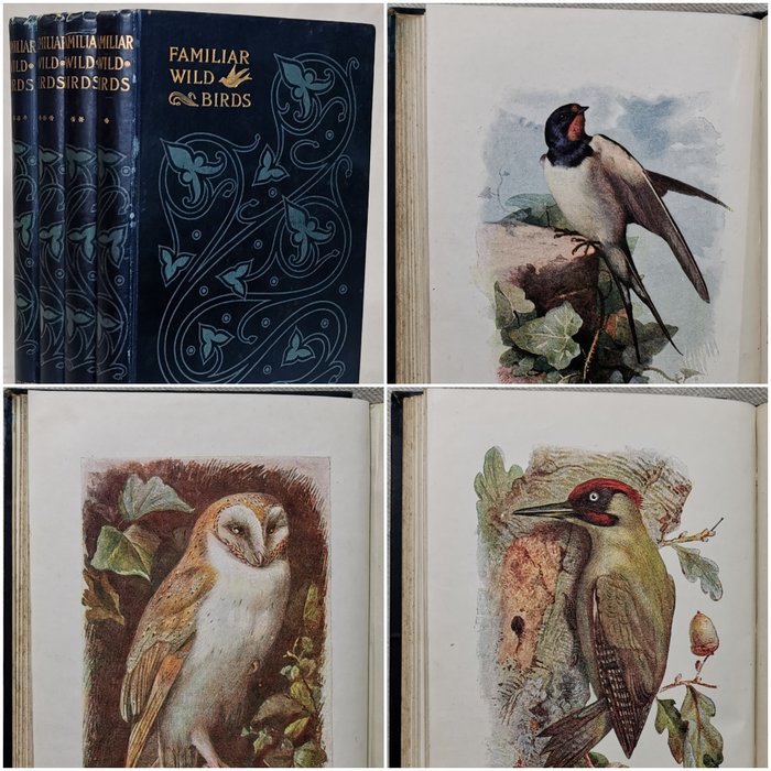 W. Swaysland - Familiar Wild Birds (Complete 4 Volumes with 160 Colour Plates) - 1901