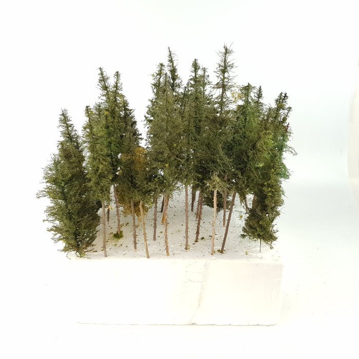 Zelfbouw H0 - Landschaft - Mehr als 35 handgefertigte Kiefern, 12 cm - 30 cm