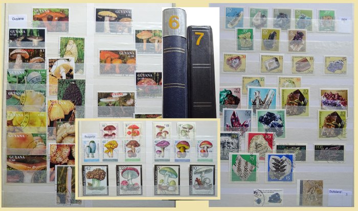 Tema: funghi, gemme minerali e altri - All kinds of topical stamps in two stock books