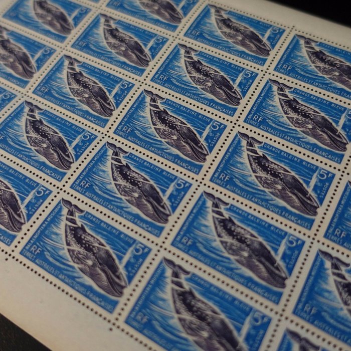 Frankreich - French Southern and Antarctic Lands sheet N°22 x25 Great blue whale 1966 mint** deluxe MNH AU