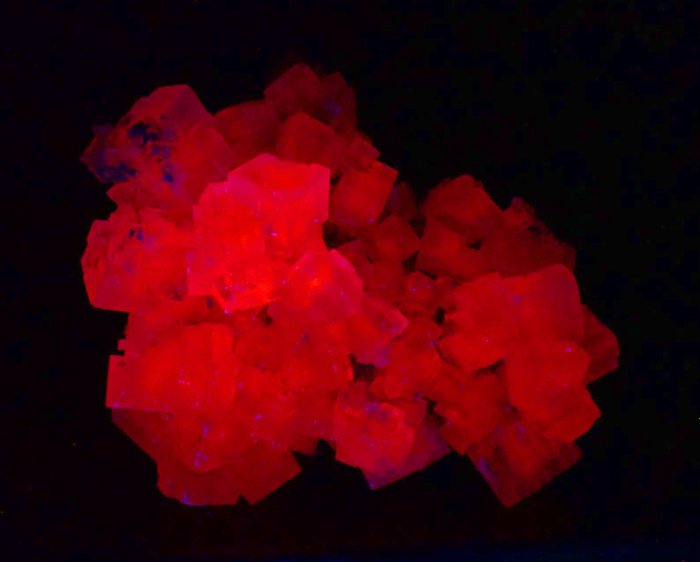 Halite cubica fluorescente rossa Cluster di cristallo - 140×110×50 mm - 456 g