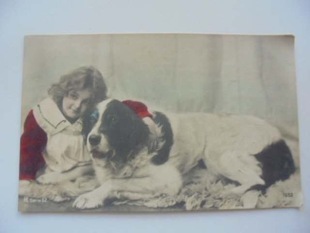 Dogs - Postcards (72) - 1900-1940