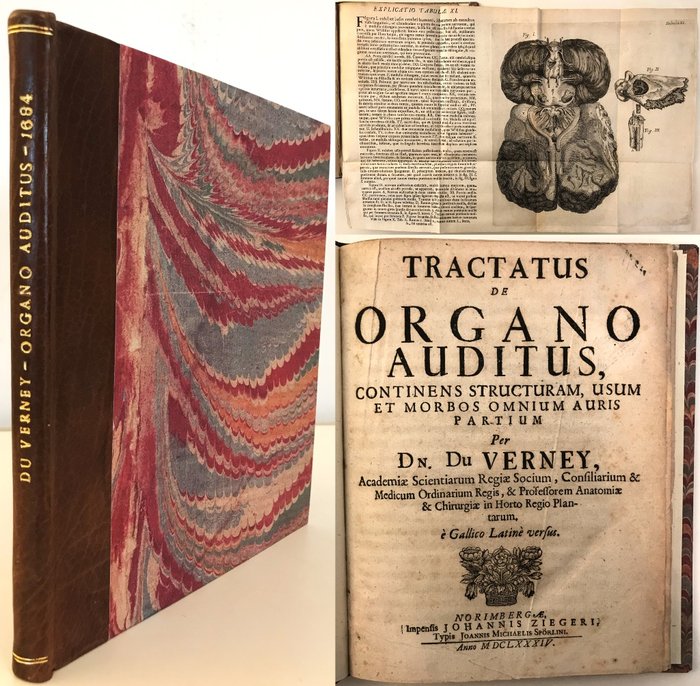 Guichard Joseph Duverney - Tractatus de organo auditus : continens structuram, usum et morbos omnium auris partium - 1684