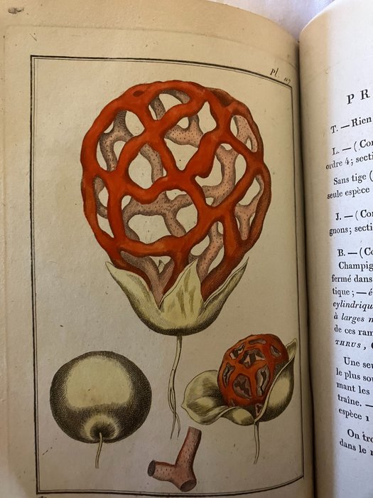 Philibert - Exercices de Botanique, à l'usage des commençants...orné de 157 planches - 1801