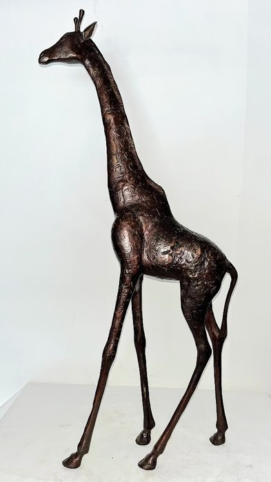 Bronzo rappresentante una grande giraffa - 66 cm - Bronzo