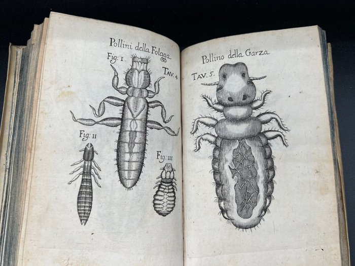 Francesco Redi - Esperienze intorno alla generazione degl’insetti fatte da Francesco Redi ... e da lui scritte in una - 1687