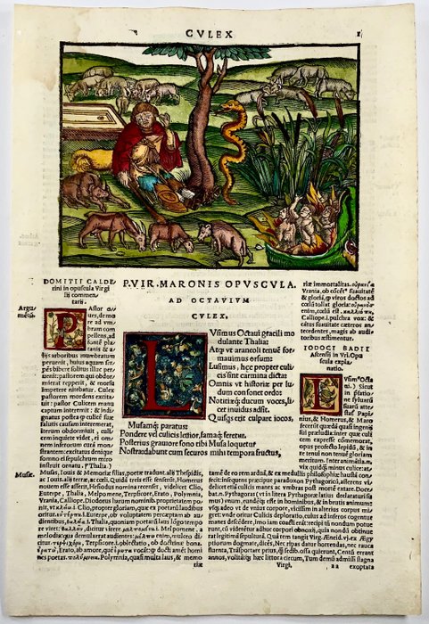 Grüninger Workshop (after); Virgil, Culex - "The Gnat", hand colored, Illuminated initials - 1515