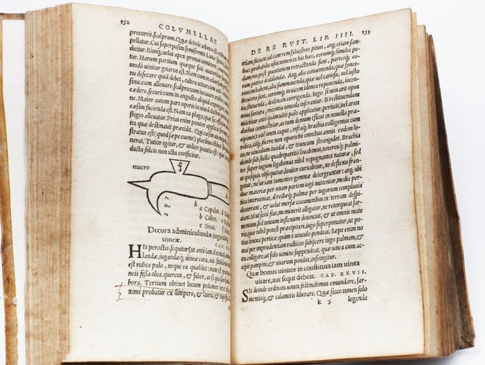 Columella / Palladio - De re rustica libri XII [Bound with:] De re rustica libri XIIII. - 1548