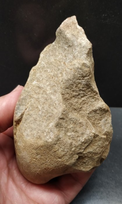Paleolitico Quarzite paleolitico. Acheuleano proto-bifacciale. Galizia, Spagna. 121X70mm. Collezione Pedro Diaz