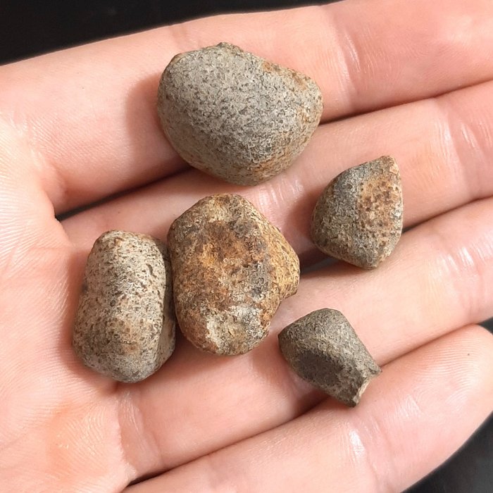 Gao–Guenie H5 Condrite. Osservata caduta di meteoriti - 28 g