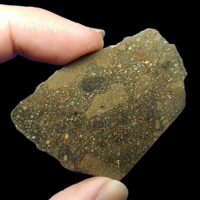 RUMURUTI R3 Meteorite. NWA 14126 (Mauritania, 2021) MOLTO RARO! Senza prezzo di riserva!!! - 13.2 g
