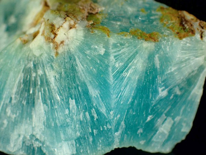 Splendida Aragonite Blu Esemplare - 50×35×25 mm - 60 g