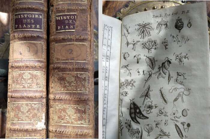 Jean-Emmanuel Gilibert - Histoire des Plantes d’Europe ou Élémens de Botanique Pratique - 1798