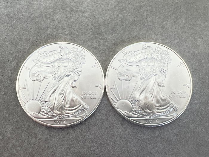 États-Unis. 1 Dollar 2014 - American Eagle - 2 x 1 Oz