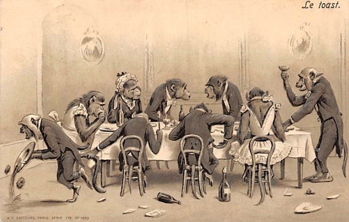 Met name apen en poezen op 'zware' reliëfkaarten (fraaie serie) - Ansichtkaarten (11) - 1903