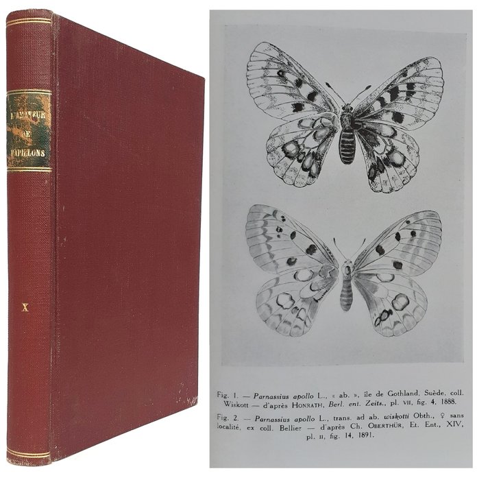 Léon Lhomme - L'Amateur de Papillons. Revue Française de Lépidoptérologie - 1938
