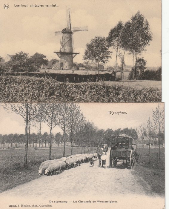 Belgique - Flandre - Cartes postales (Collection de 216) - 1900-1950