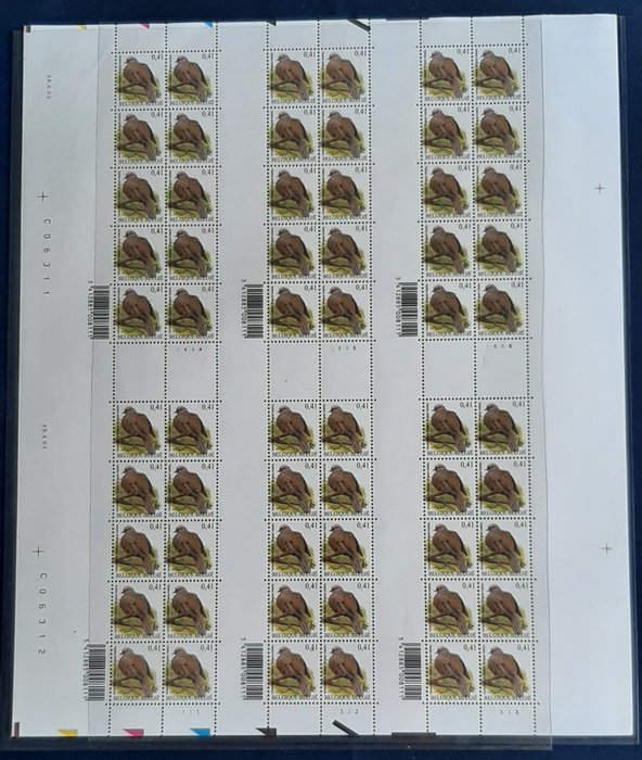 België 2002 - Buzin " Tortelduif "  ongesneden vel van de 6 velletjes met de 6 plaatnummers - OBP/COB 3135
