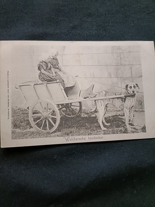Niederlande - Sonstiges - Postkarten (Set von 123) - 1900-1910